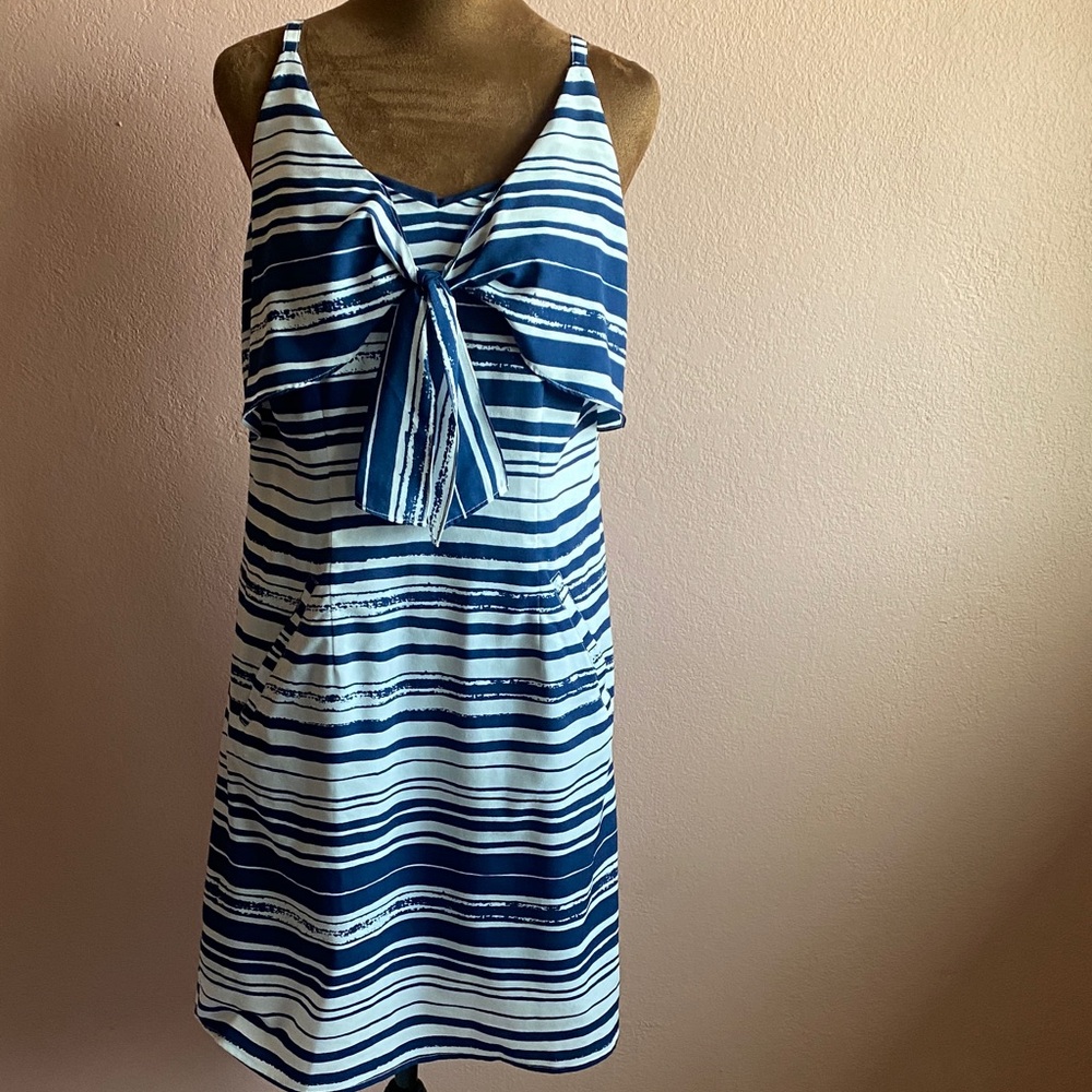 CABI Navy and White Striped Mini Dress